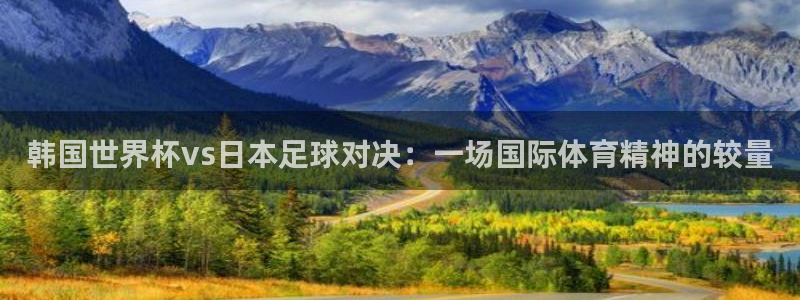 纵横国际电子：韩国世界杯vs日本足球对决：一场国际体育精神的较量