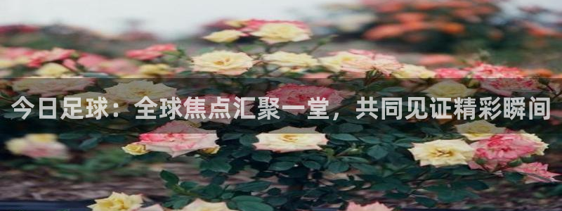 穿越者纵横动漫世界txt下载