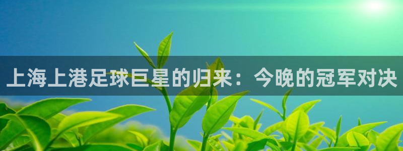 纵横国际app下载入口