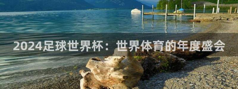 深圳纵横国际旅行社