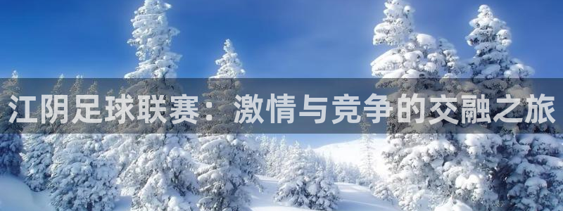 纵横国际公司