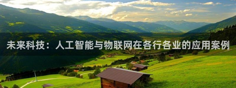 纵横国际app怎么下载最新版