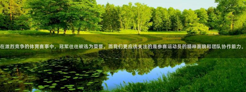 航程纵横app