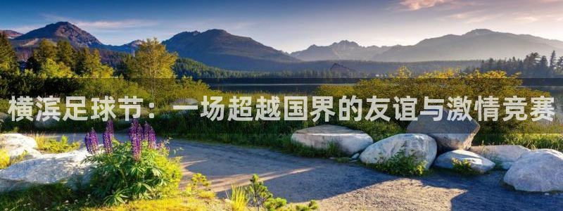 北京纵横国际旅行社