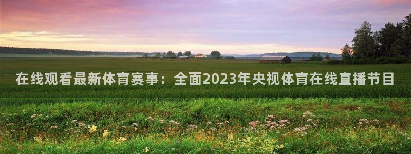 纵横国际登录入口在哪