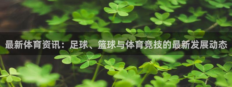 纵横中文网 app