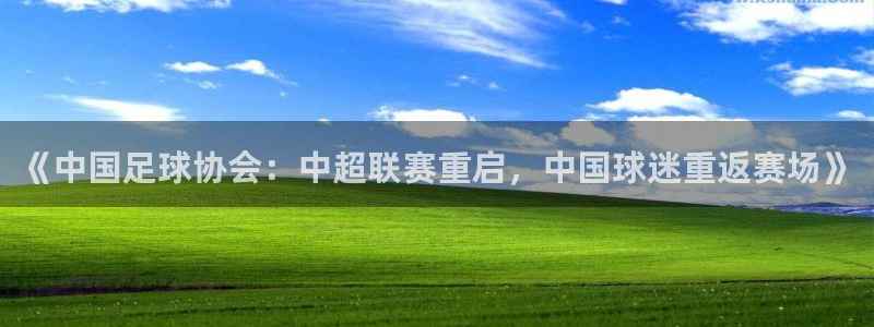 纵横中文网 app