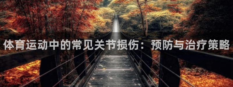 纵横国际官网登录入口下载
