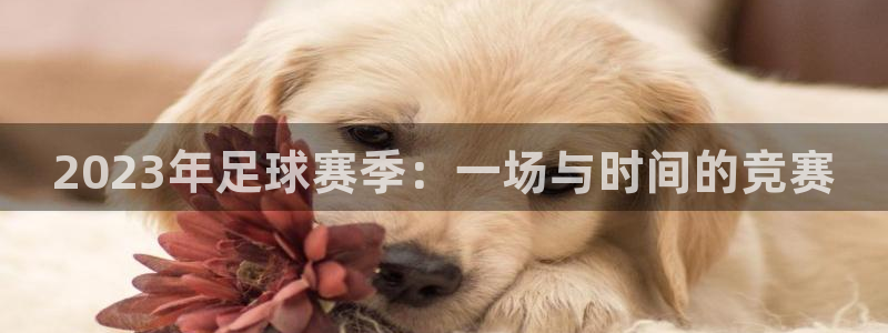 纵横旅程app下载