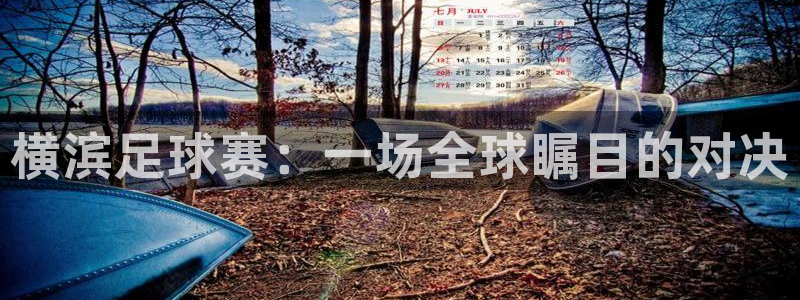 交通纵横app