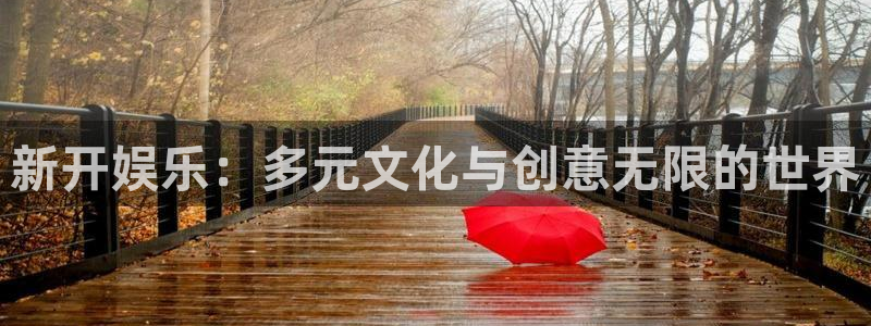 纵横国际注册 纵横国际游戏下载