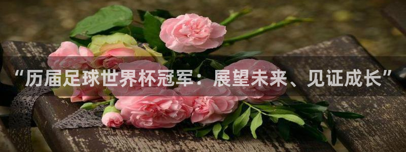 纵横国际旅行社官网