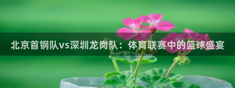 纵横世界