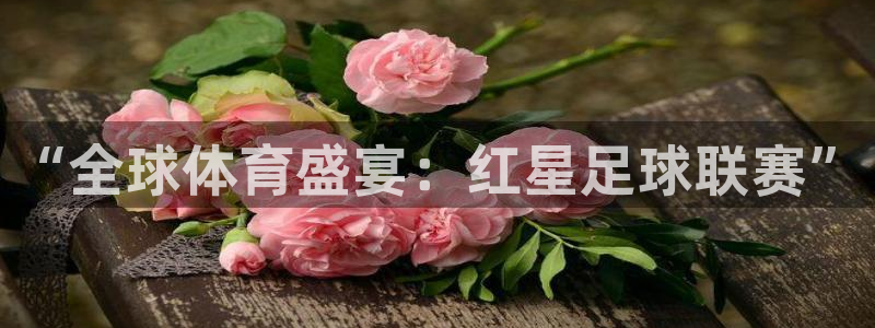 航海纵横app