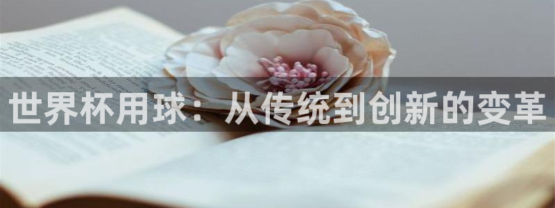 纵横国际app