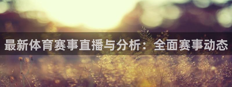 纵横国际平台app下载