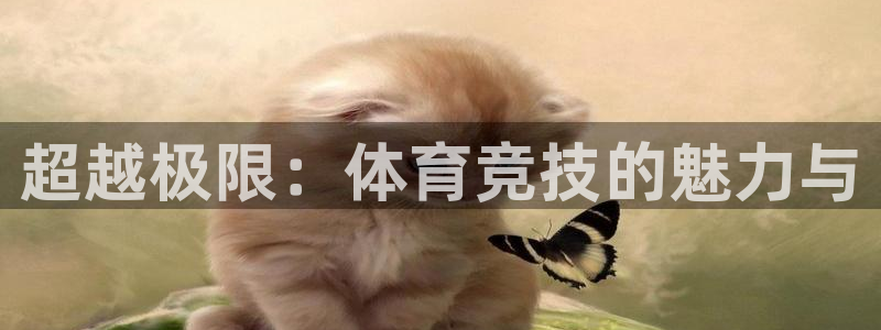 纵横在仙武世界