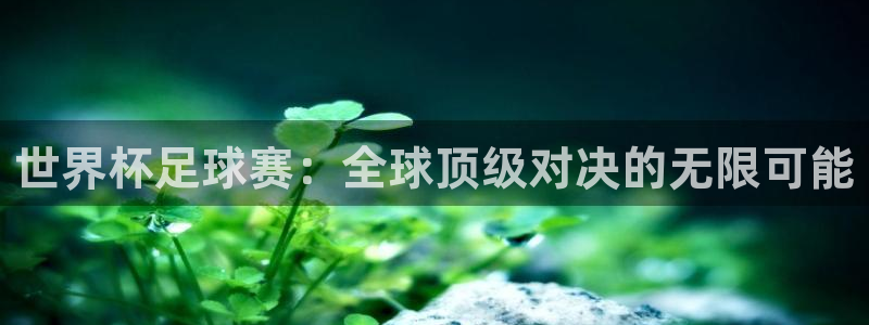 纵横中文网的app叫什么：世界杯足球赛：全球顶级对决的无限可能