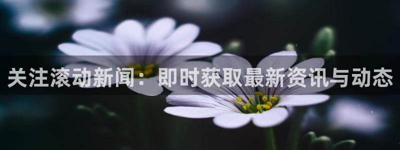 纵横app免费下载