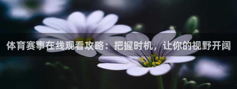纵横中文app：体育赛事在线观看攻略：把握时机，让你的视野开阔
