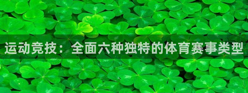 超级工程三纵横中国：运动竞技：全面六种独特的体育赛事类型