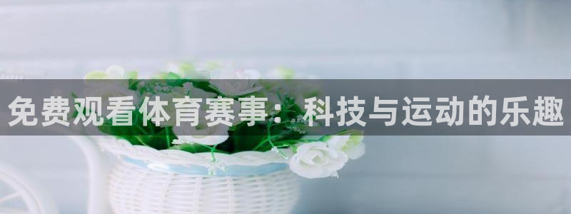 纵横电子：免费观看体育赛事：科技与运动的乐趣