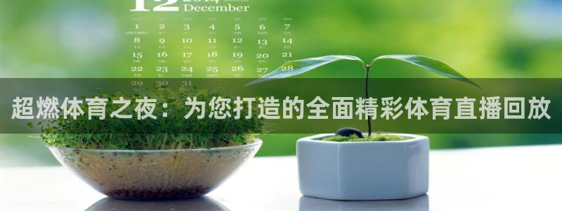 纵横app下载：超燃体育之夜：为您打造的全面精彩体育直播回放