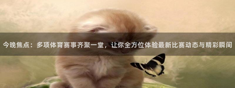 纵横app免费下载：今晚焦点：多项体育赛事齐聚一堂，让你全方位体验最新比赛动态与精彩瞬间