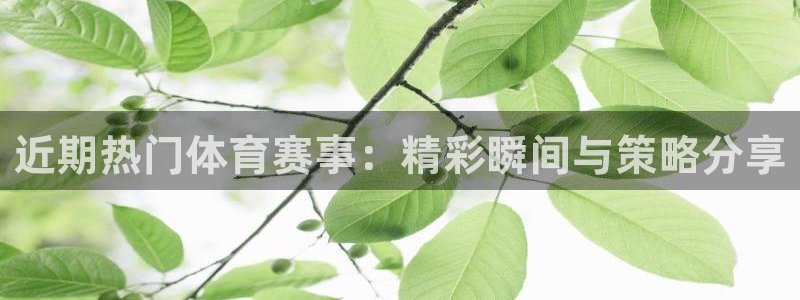 哈尔滨纵横国际旅行社：近期热门体育赛事：精彩瞬间与策略分享