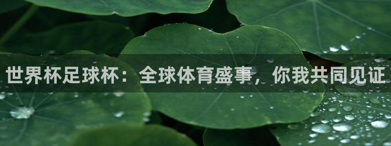 航海纵横app：世界杯足球杯：全球体育盛事，你我共同见证