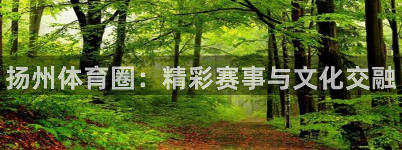 重庆纵横国际写字楼：扬州体育圈：精彩赛事与文化交融