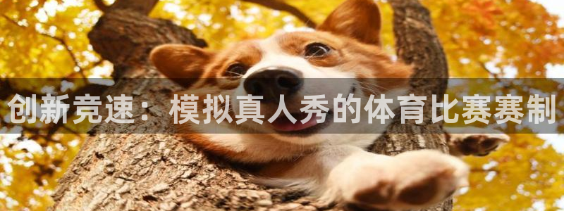纵横中文网官网app下载：创新竞速：模拟真人秀的体育比赛赛制