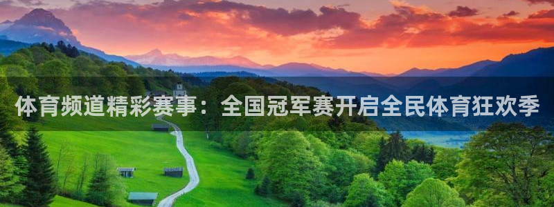 纵横迅通国际物流：体育频道精彩赛事：全国冠军赛开启全民体育狂欢季