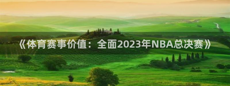 纵横国际公司：《体育赛事价值：全面2023年NBA总决赛》