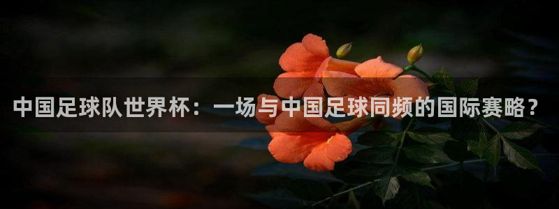 黄山纵横国际旅行社：中国足球队世界杯：一场与中国足球同频的国际赛略？