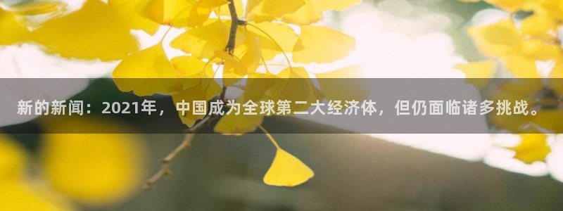 精彩纵横云采购平台登录入口：新的新闻：2021年，中国成为全球第二大经济体，但仍面临诸多挑战。