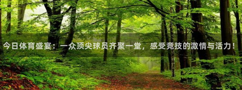 观音桥聚丰纵横国际：今日体育盛宴：一众顶尖球员齐聚一堂，感受竞技的激情与活力！